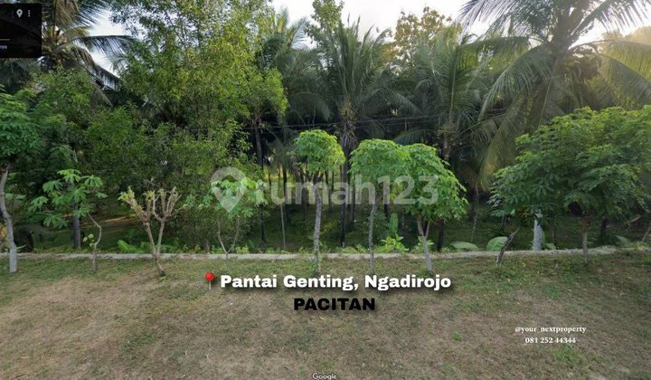 Tanah Lahan di Pantai Genting Ngadirojo Kabupaten Pacitan