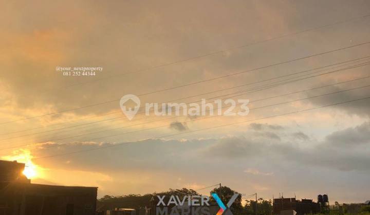 Tanah Luas Beserta Pohon Sengon Siap Panen Di Tejosari, Singosari Malang