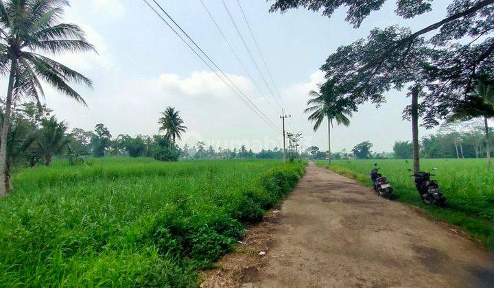 Tanah Luas Siap Bangun Strategis Di Srigading, Tajinan Dn1496  2