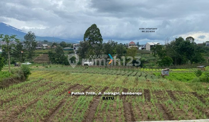 Tanah Siap Bangun Di Puthuk Tritih Jalan Indragiri Sumberejo Batu 1
