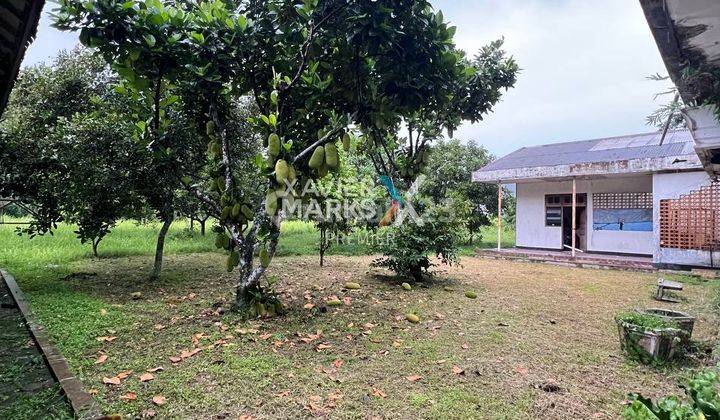 Rumah Di Jalan Sumber Bangun Kalirejo, Lawang Malang Dn1579  2