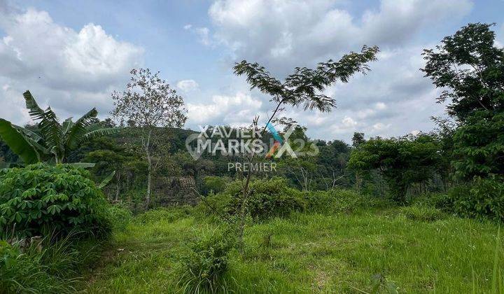 Tanah Murah Lokasi Di Jedong, Wagir Kabupaten Malang Dn1557  2