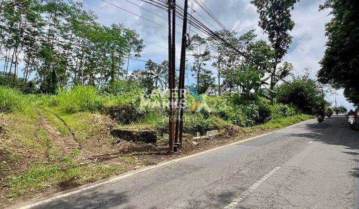 LAHAN LUAS LOKASI STRATEGIS DI JALAN RAYA TLOGOMAS, KEDUNGKANDANG, MALANG 1