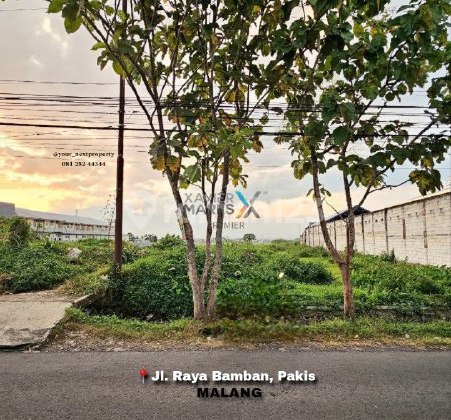 Tanah Siap Bangun di Raya Bamban Asrikaton, Pakis Malang