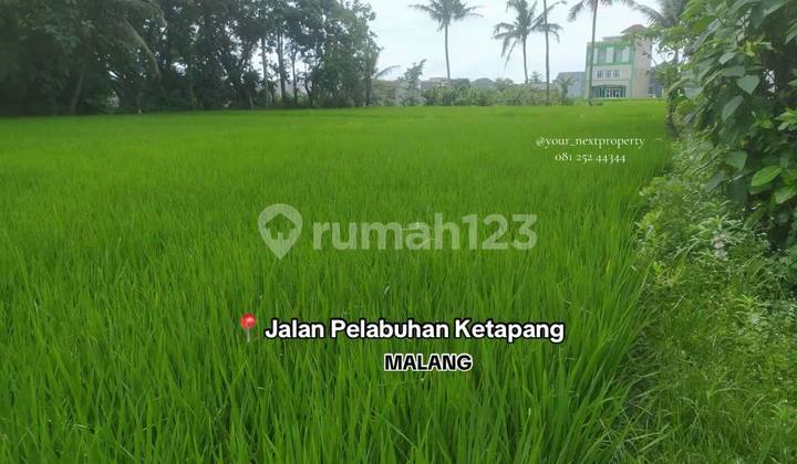 Tanah di Jalan Pelabuhan Ketapang Bakalankrajan Sukun Malang