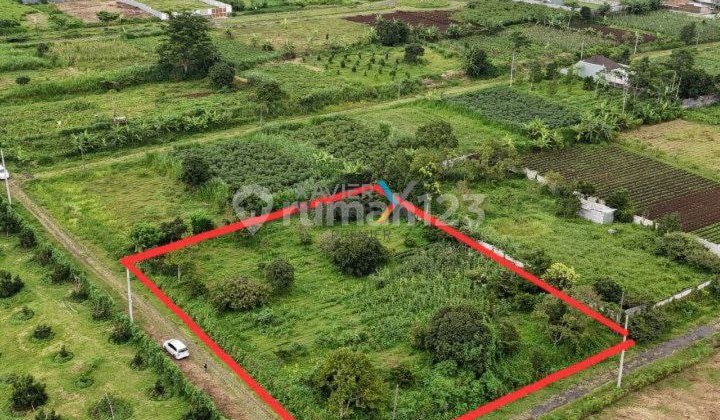 Tanah Kavling Hook di Villa Navy Residence Ketindan Lawang Malang Tanah Kavling Hook di Villa Navy Residence Ketindan Lawang Malang