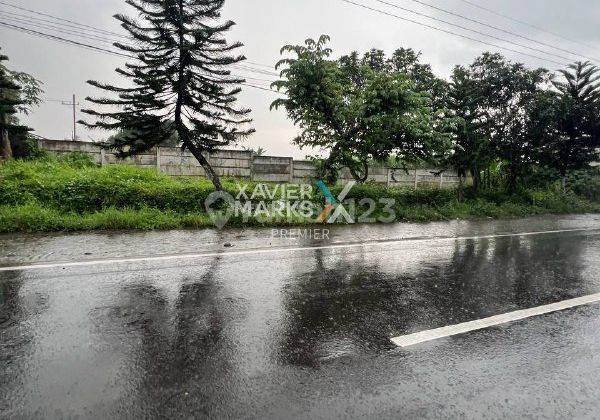 Lahan Luas Strategis Di Jalan Raya Sumberpasir Pakis Malang 1627 2