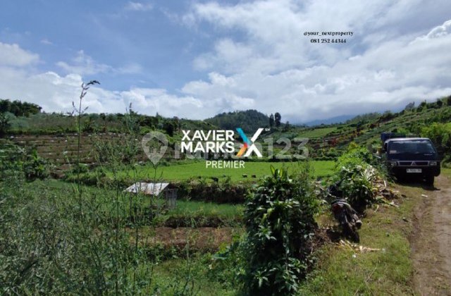 Tanah + Kebun Apel Produktif Di Bulukerto Kota Batu(DN1854) 1