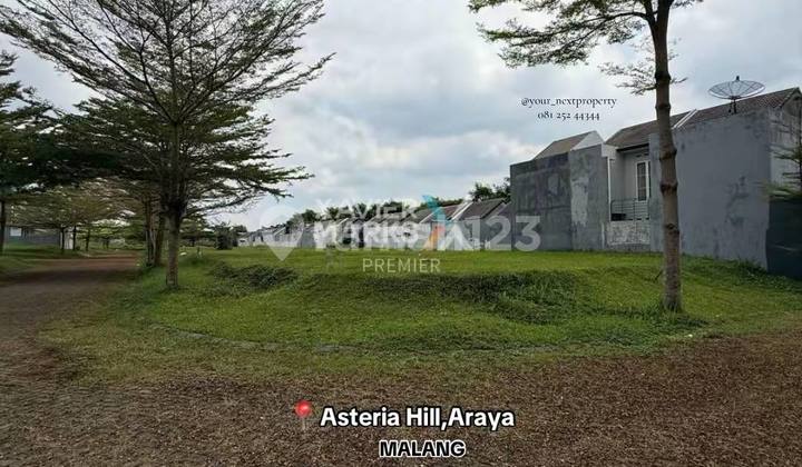 A Hook Plot of Land in the Asteria Hill Cluster, The Araya Malang