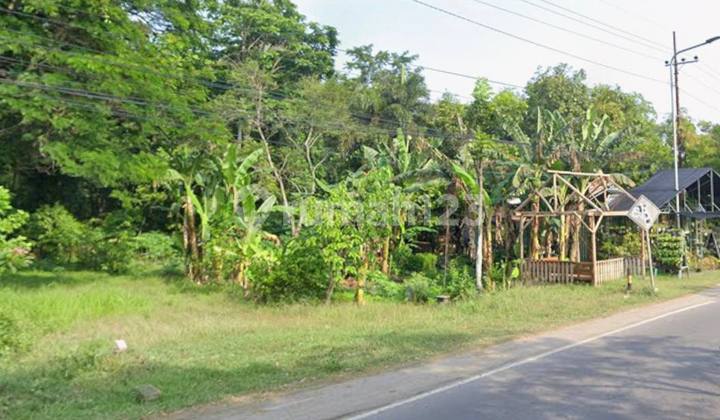 Lahan Lokasi di Poros Jalan Raya Madiun - Ponorogo, Sangen Geger Madiun