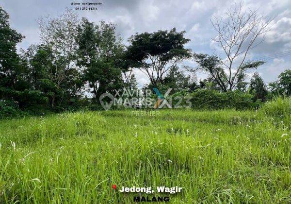 Tanah Murah Lokasi Di Jedong, Wagir Kabupaten Malang Dn1557  1