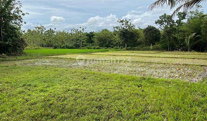 Dijual Tanah Kavling Di Rangkasbitung 2