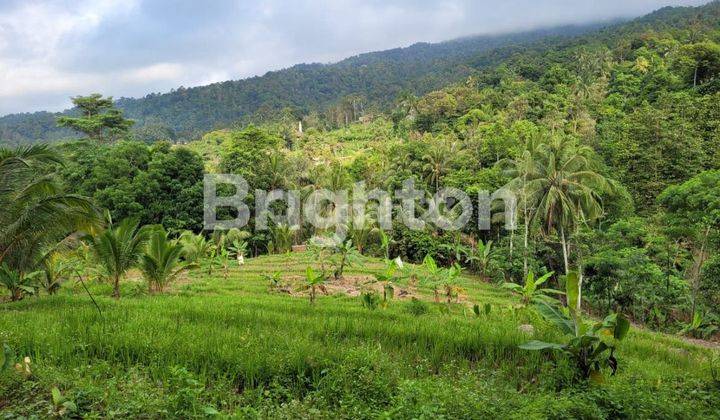 villa di Pandeglang.Banten 1