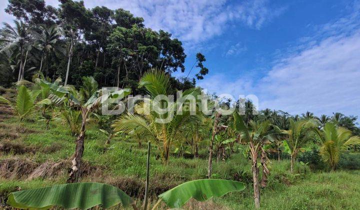 villa di Pandeglang.Banten 2