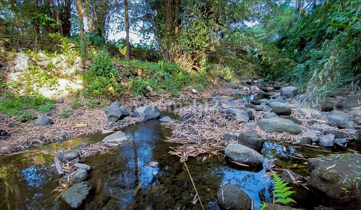 Dijual TANAH TEPI SUNGAI - LANGKA, STRATEGIS, MURAH! 1