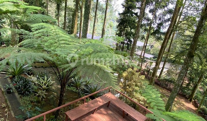 Jual Villa Cantik Dimegamendung Puncak.jawa Barat 2