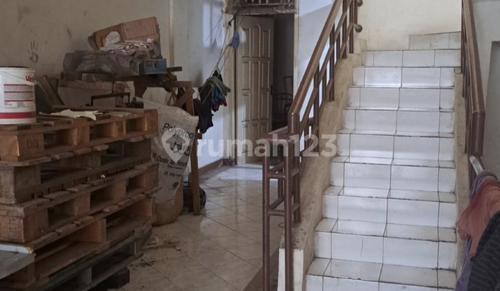 Rainbow Ruko Ready to Use 2