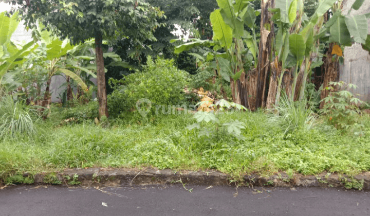 Lahan Datar Area Pasar Timbul Siap Ajb Notaris 1