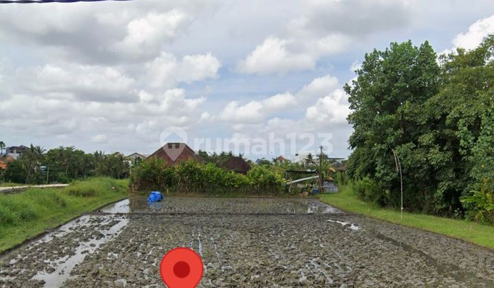 Land For Lease Near Pantai Lyma