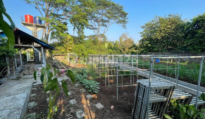 Rumah dan kebun di Pasir Mulya kota bohorBogor Barat SHM 2