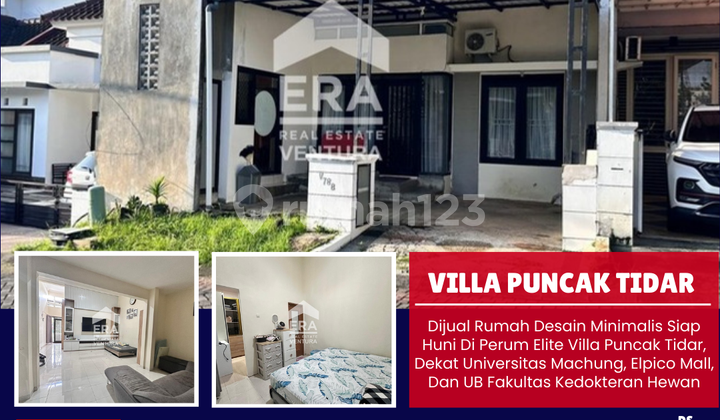 Dijual Rumah Siap Huni Di Perum Elite Villa Puncak Tidar Dijual Rumah Siap Huni Di Perum Elite Villa Puncak Tidar
