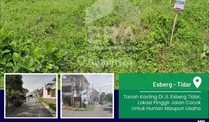 Tanah Kavling Di Jl. Esberg Tidar, Cocok Untuk Hunian Atau Usaha 1