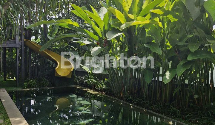 Villa di Tengah Kota View Sawah di Renon Villa di Tengah Kota View Sawah di Renon