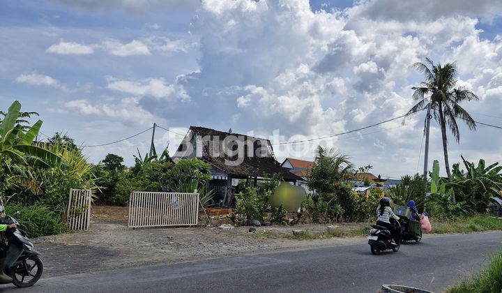 Land Suitable for Villa, Cafe, Sports Center Near Munggu Beach Land Suitable for Villa, Cafe, Sports Center Near Munggu Beach