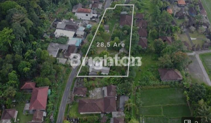 Land Price Drop with Free Building Bonus in Penebel, Tabanan Land Price Drop with Free Building Bonus in Penebel, Tabanan