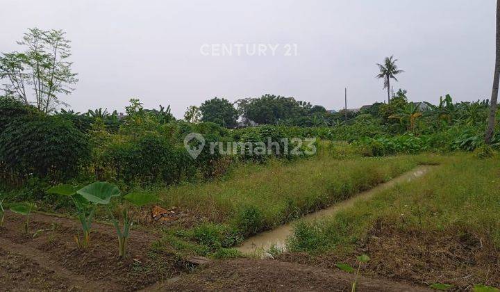 Jual Cepat Lahan Luas Siap Dibangun Area Cimone Tangerang  2