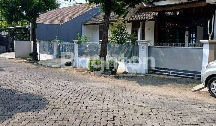 Rumah mewah ada kolam renangnya 2