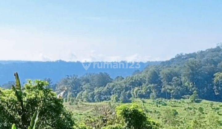 Dijual Murah Tanah Di Daerah Munduk Bedugul Zona Kuning Bali 1