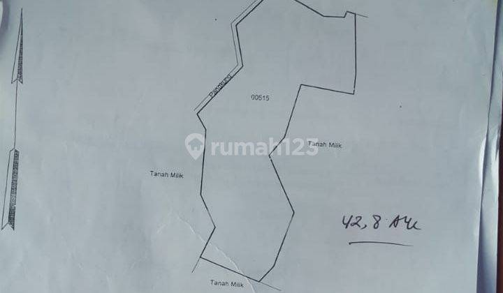 Land for sale in strategic Ubud near the Tegalalang River 2