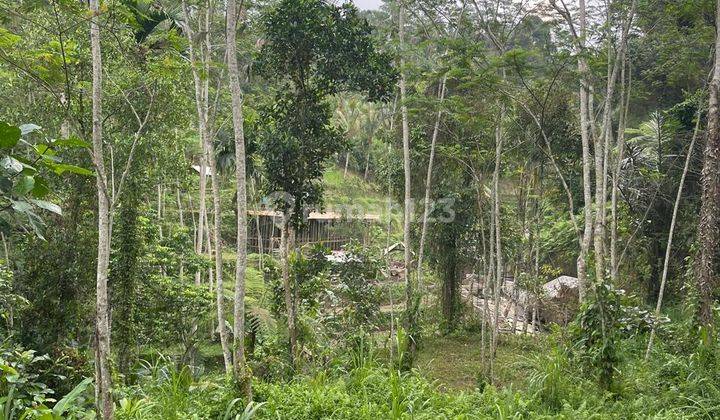 Land for sale in strategic Ubud near the Tegalalang River 1