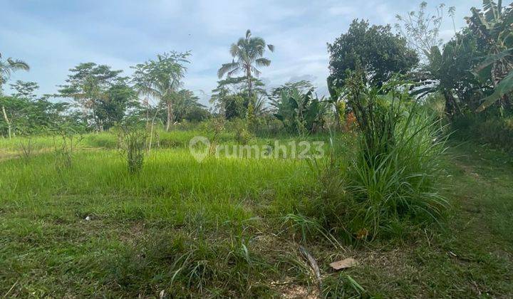 DIJUAL TANAH STRATEGIS AREA DI TEGALALANG UBUD BALI MCL016 1