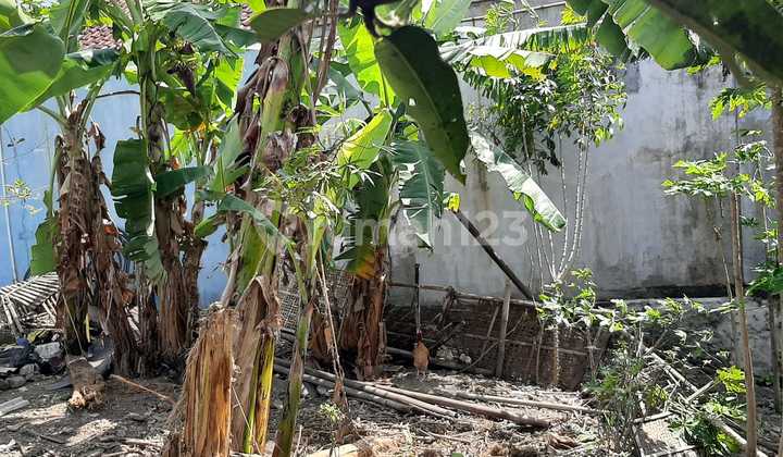 Tanah Strategis Di Condong Catur Depok Sleman Yogyakarta Tanah Strategis Di Condong Catur Depok Sleman Yogyakarta