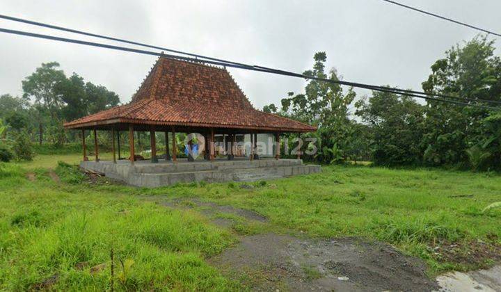 Tanah Luas Untuk Resto Dengan View Sawah Yogyakarta  2