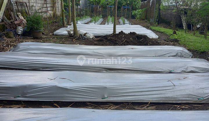 Tanah Strategis Luas 300 Dekat Pemukiman Warga Di Trimulyo Gamping Sleman Yogyakarta 1