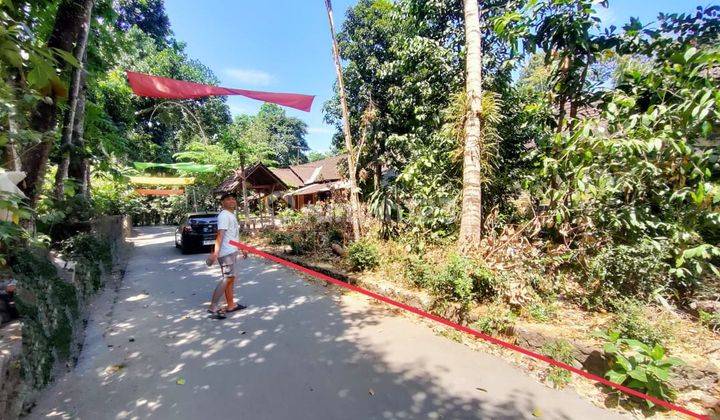 Tanah Murah Dekat Candi Prambanan Kalasan Sleman Yogyakarta 1