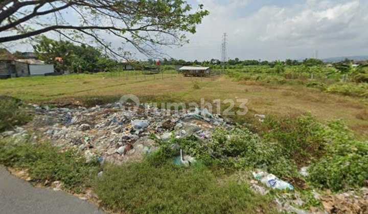 Wide Land Plot Suitable for Housing in Banguntapan, Bantul, Yogyakarta