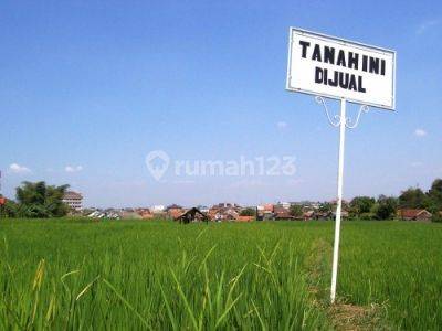 Dijual Tanah A Yani Surabaya Sederetan Trans Icon 1