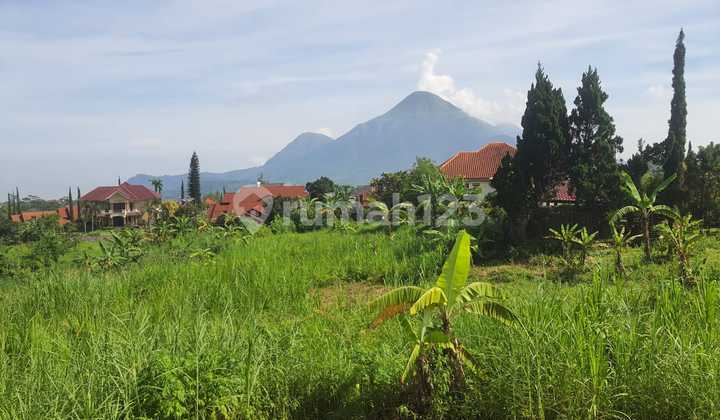 Kavling Kawasan Elite Bukit Trawas Garden - View Gunung