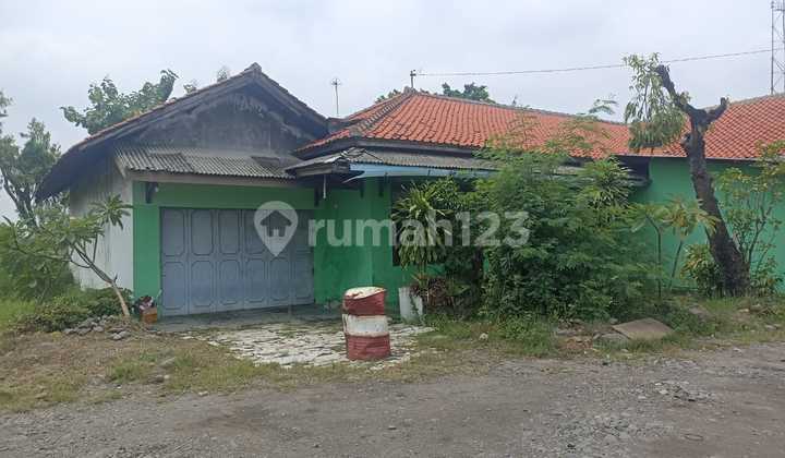 Sale of Solid Land on Main Road Pantura Losari Brebes