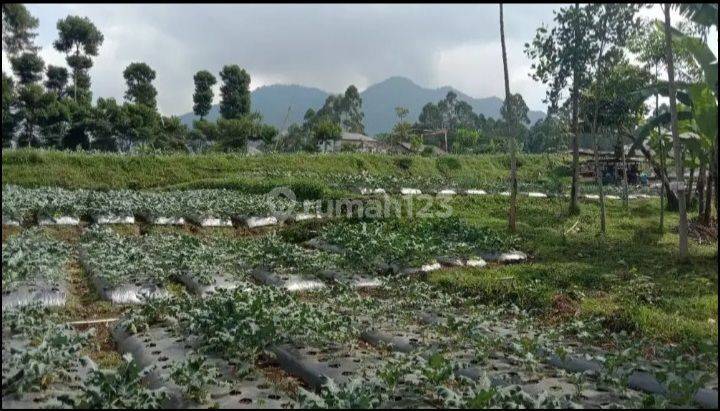 Jual Tanah matang,dekat area wisata Dusun Bambu  2