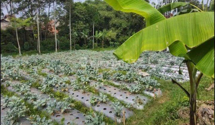 Jual Tanah matang,dekat area wisata Dusun Bambu  2