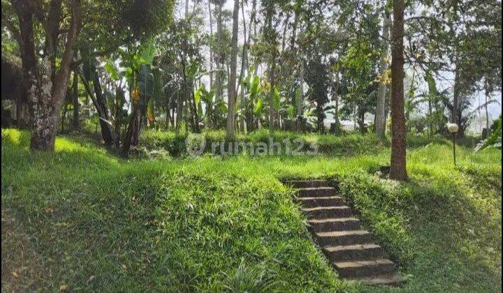 Jual Tanah matang,dekat area wisata Dusun Bambu  1