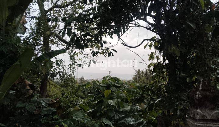 Tanah Kebun View Laut Seluas 2 Hektar/200 Are, Lokasi: Pekutatan, Jembrana 1