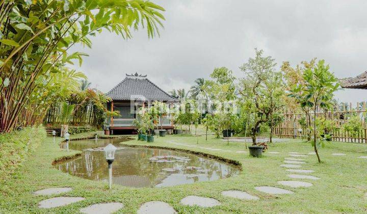 Villa Klasik di Lahan Seluas 3600 m² di Apuan Tabanan Bali 1