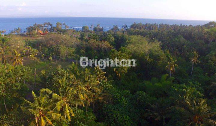 Land near Saba Beach, borderingvthe river 1