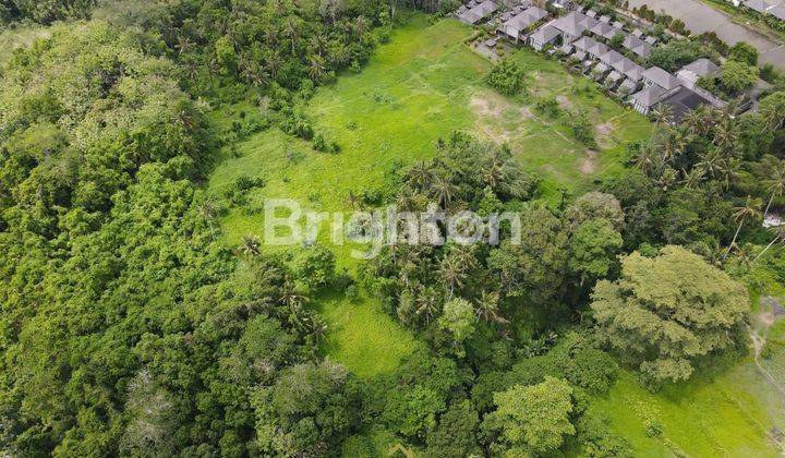 Cheap land on Jalan Bisma Ubud with an area of 1 hectare 2